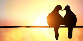 Powerful Commitment Love Spells
