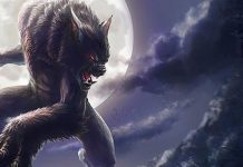 Werewolf Spells – Cast Powerful Werewolf Spells