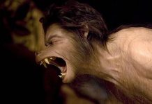 Real Werewolf Spells That Really Work Like Magic Real Werewolf Spells That Really Work