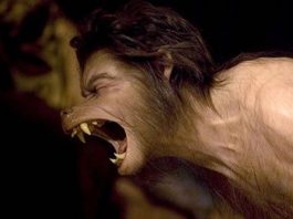 Real Werewolf Spells That Really Work