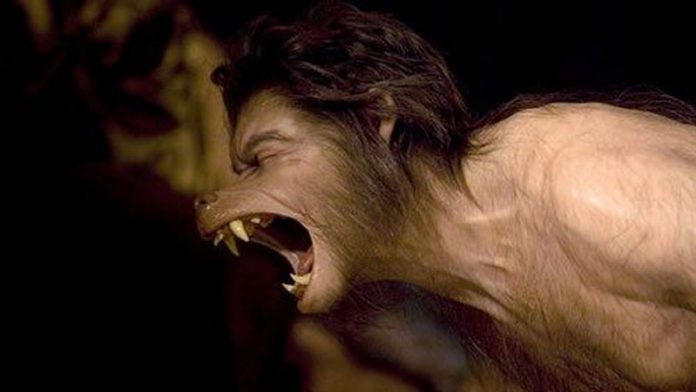 Real Werewolf Spells That Really Work