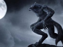 Werewolf Spells
