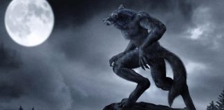 Werewolf Spells