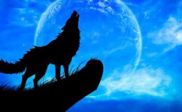 Wolf Transformation Spells That Work Instantly